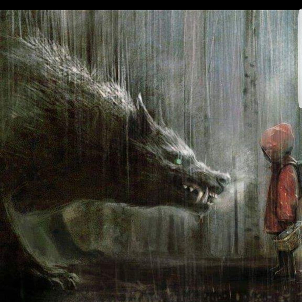 Meet your Posher, Ozzy